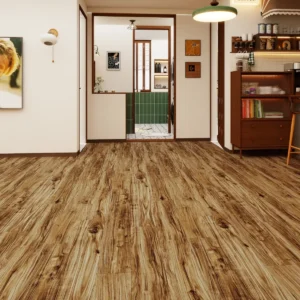 SPC Tobacco Trail Acacia